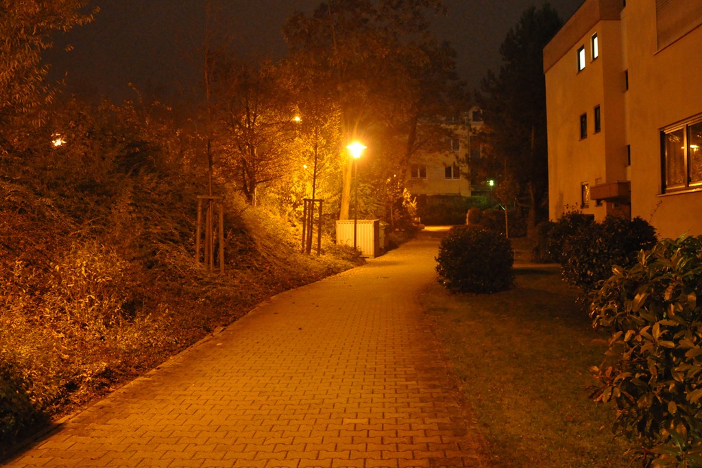 [DSC_1371%255B2%255D.jpg]