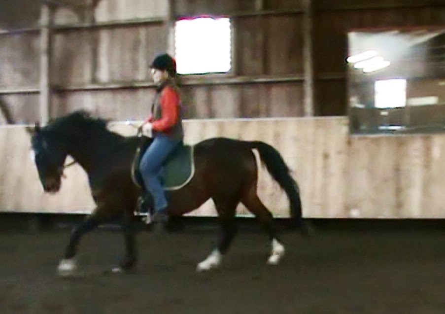 [Galopp-neu%255B7%255D.jpg]