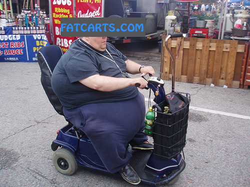fat-cart-fat-person.jpg