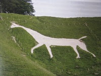 IMG_3334 IMG_3334