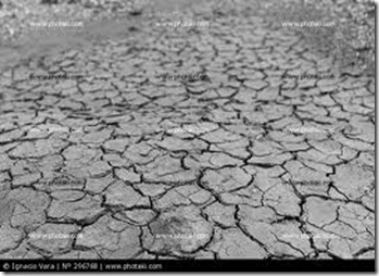 dryland2 dryland2