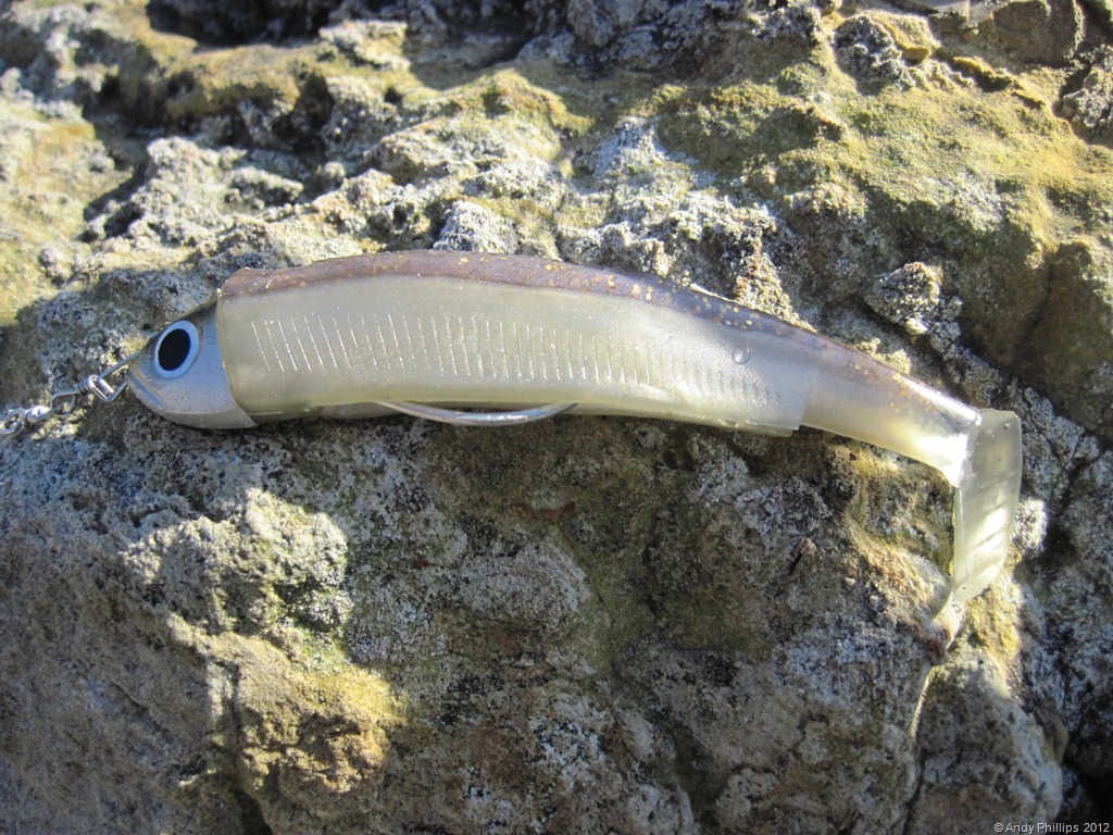 [IMG_1333%255B7%255D.jpg]