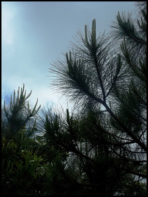 Dune hike & rain paddle 100A