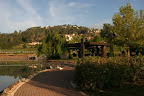 p1245210775(1).jpg