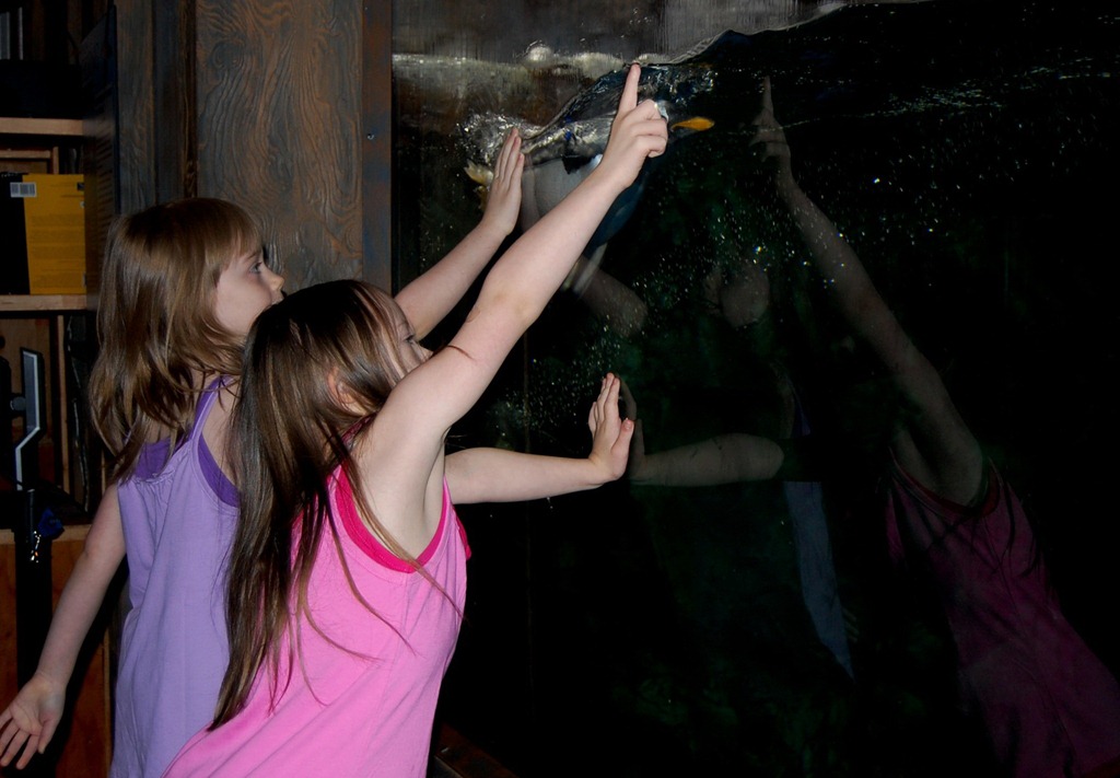 [aliandsadi08012011-46.jpg]