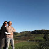 Vale do Vinhedos