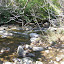 DSCF9365.JPG