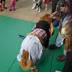 SDC11418.JPG