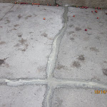 12 0ct-2010 099.jpg