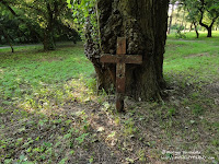 Cmentarz przy ul. Samotnej w Poznaniu