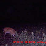 MDGC0245.JPG