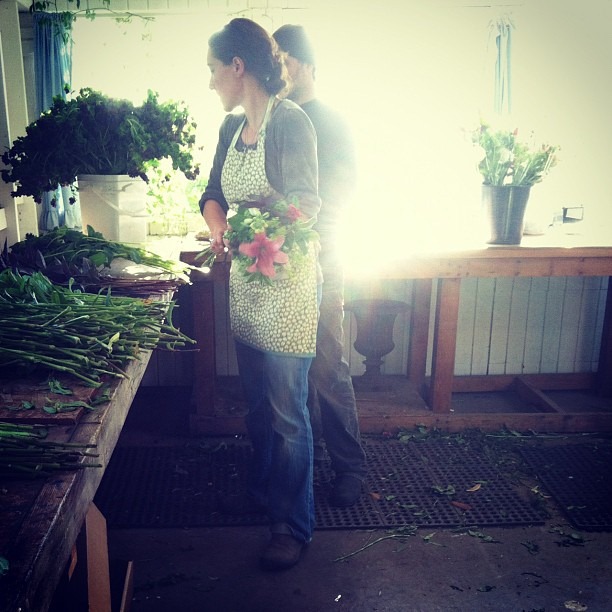 [564380_188268277968037_207426759_n%2520floret%252064%2520bouquets%2520per%2520hour%255B4%255D.jpg]
