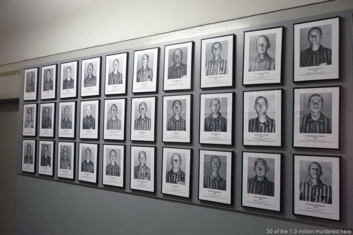[P115078912.jpg]