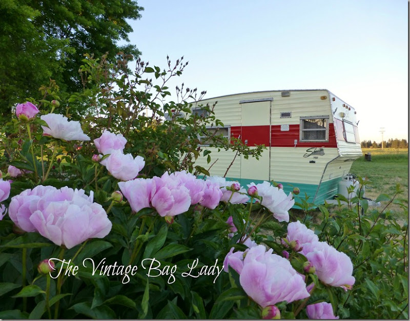 the plate flowers 014