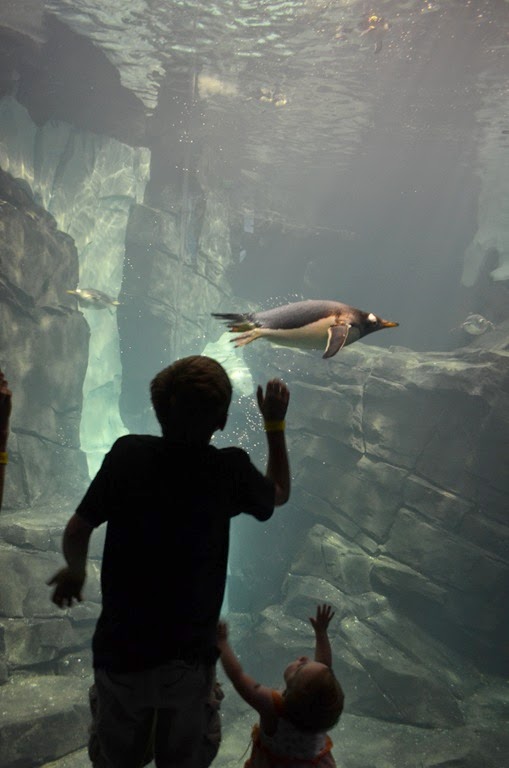 [DSC_9078%255B3%255D.jpg]