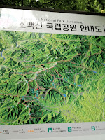 IMG_0775.jpg Photo