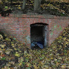dsc03956.jpg