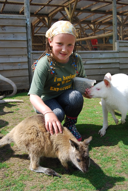 [DSC_0667%255B4%255D.jpg]