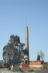 IMG_7316.JPG