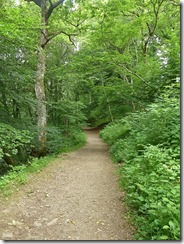 birks path