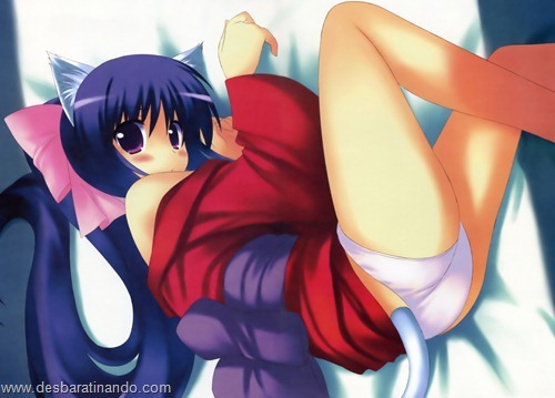 omamori himari anime wallpapers papeis de parede download desbaratinando  (7)