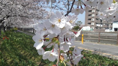2014-03-28 13.29.12.jpg