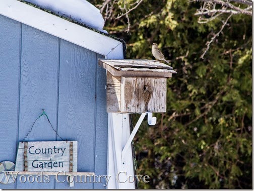 MARCH 2015 (3 of 18) MARCH 2015 (3 of 18)
