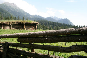 Wide Spread Garden fields
