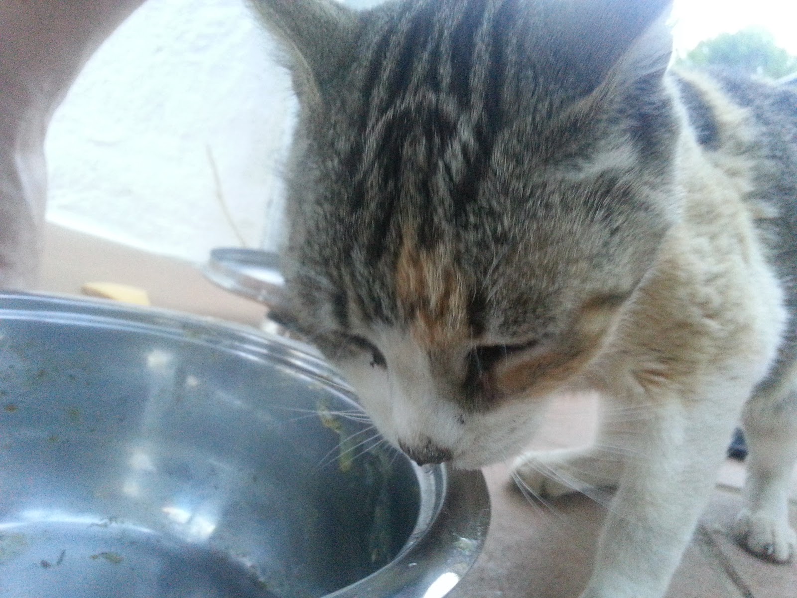 20130816_205945.jpg