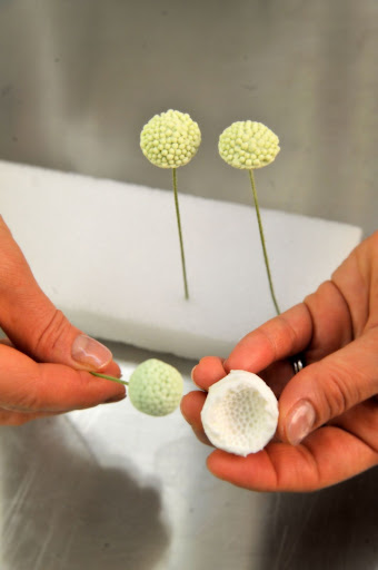 To create a different flower, Ana uses a mold to get the bud's texture just right.