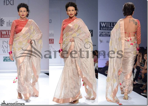 Nikasha_Tan_Embroidery_Saree