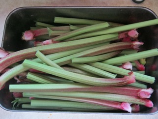 Rhubarb5 12 10