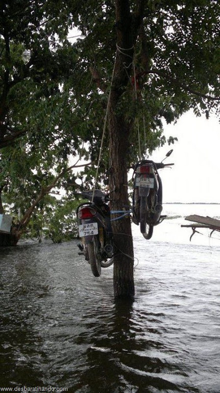 tailandia chuva inundacao criativa desbaratinando httpthai flood hack (17)