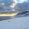 Declan Ward - Bray Beach And Head.jpg