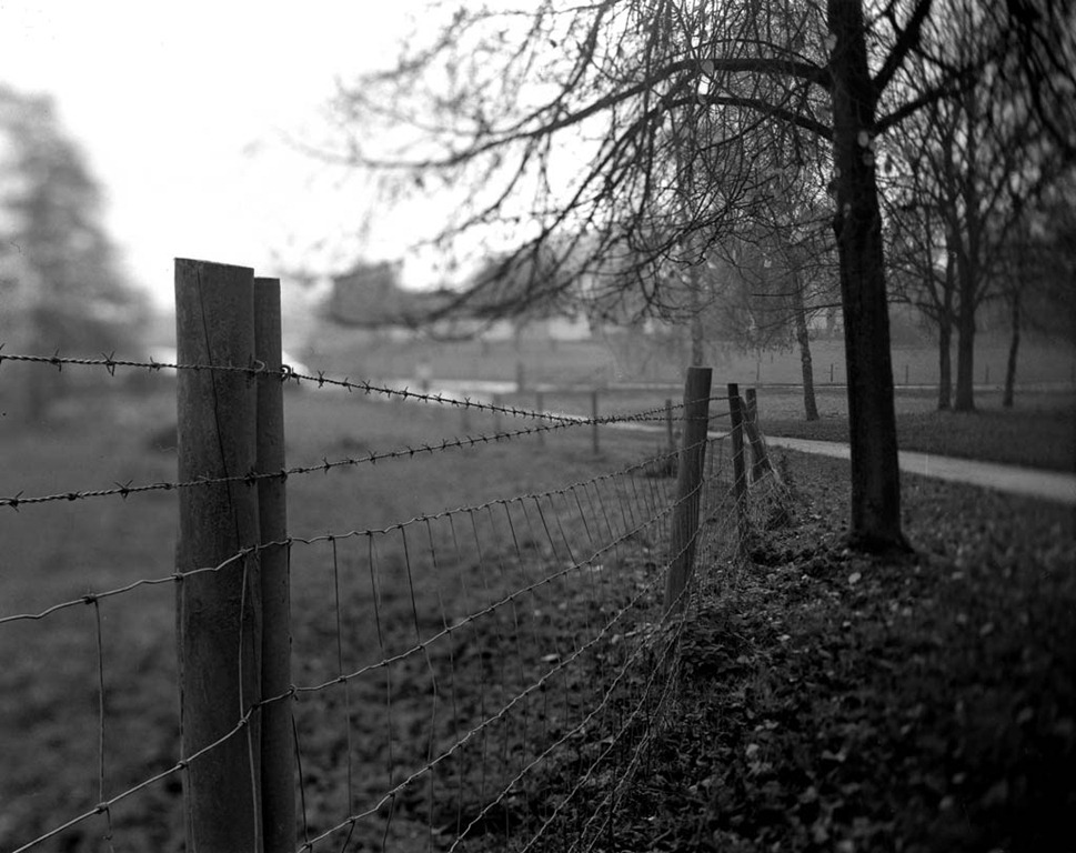 [The-Fence-3%255B4%255D.jpg]