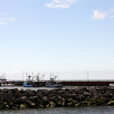 IMG_8186.JPG