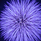 Epic Fireworks - Huge Blue Chrysanthemum Burst - http://www.epicfireworks.com/