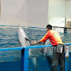 hokkaido_447.jpg