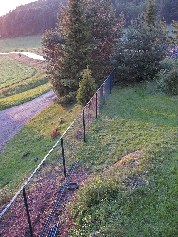 [Endelig%2520gjerde%2520og%2520dyr_150611_8887%255B8%255D.jpg]