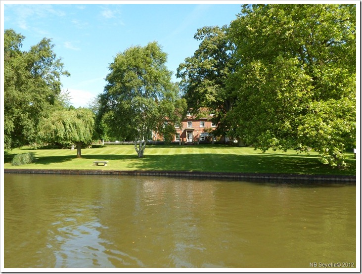 SAM_1735 Burcot SAM_1735 Burcot