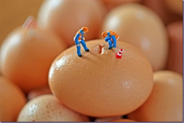 Cenas-Reproduzidas-Miniaturas-Ovos Cenas-Reproduzidas-Miniaturas-Ovos