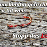 Plakate & Poster