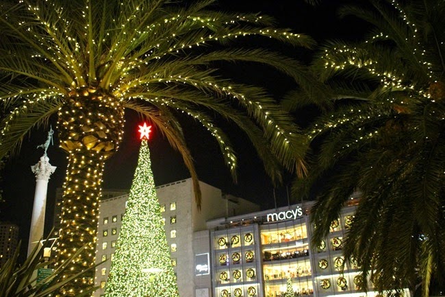 IMG_3228 IMG_3228