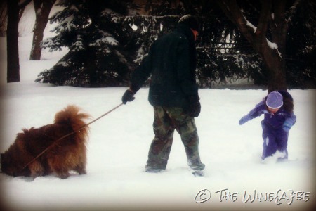 mason_snow mason_snow