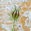 100_2585r.jpg