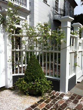 IMG_0824 IMG_0824