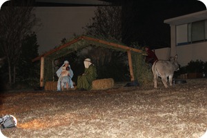 IMG_0458e
