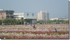 IMG_1137 IMG_1137
