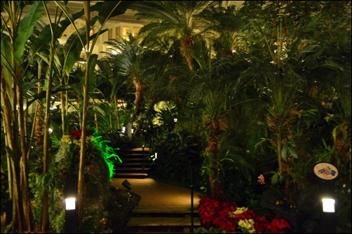 Opryland at night2