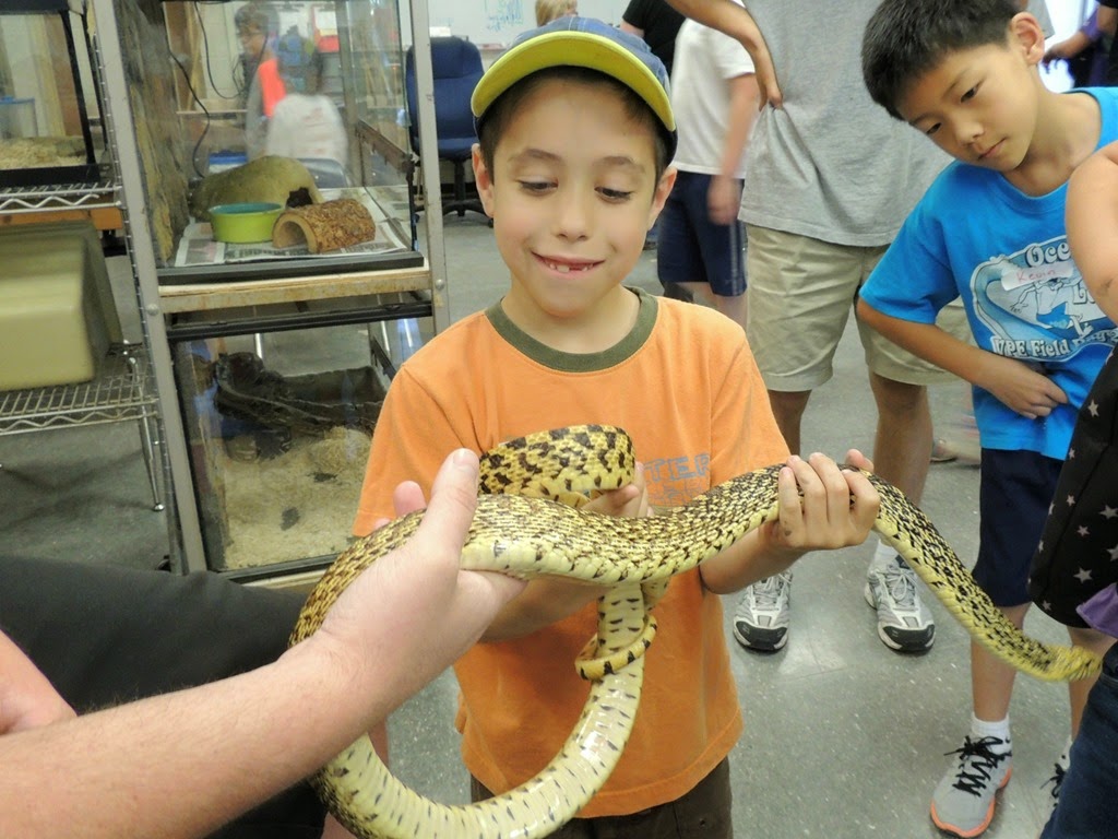 [DSCN9385%255B3%255D.jpg]